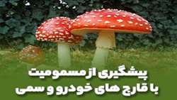 پیشگیری از مسمومیت با قارچ‌های خودرو و سمی